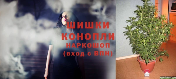 шишки Кохма